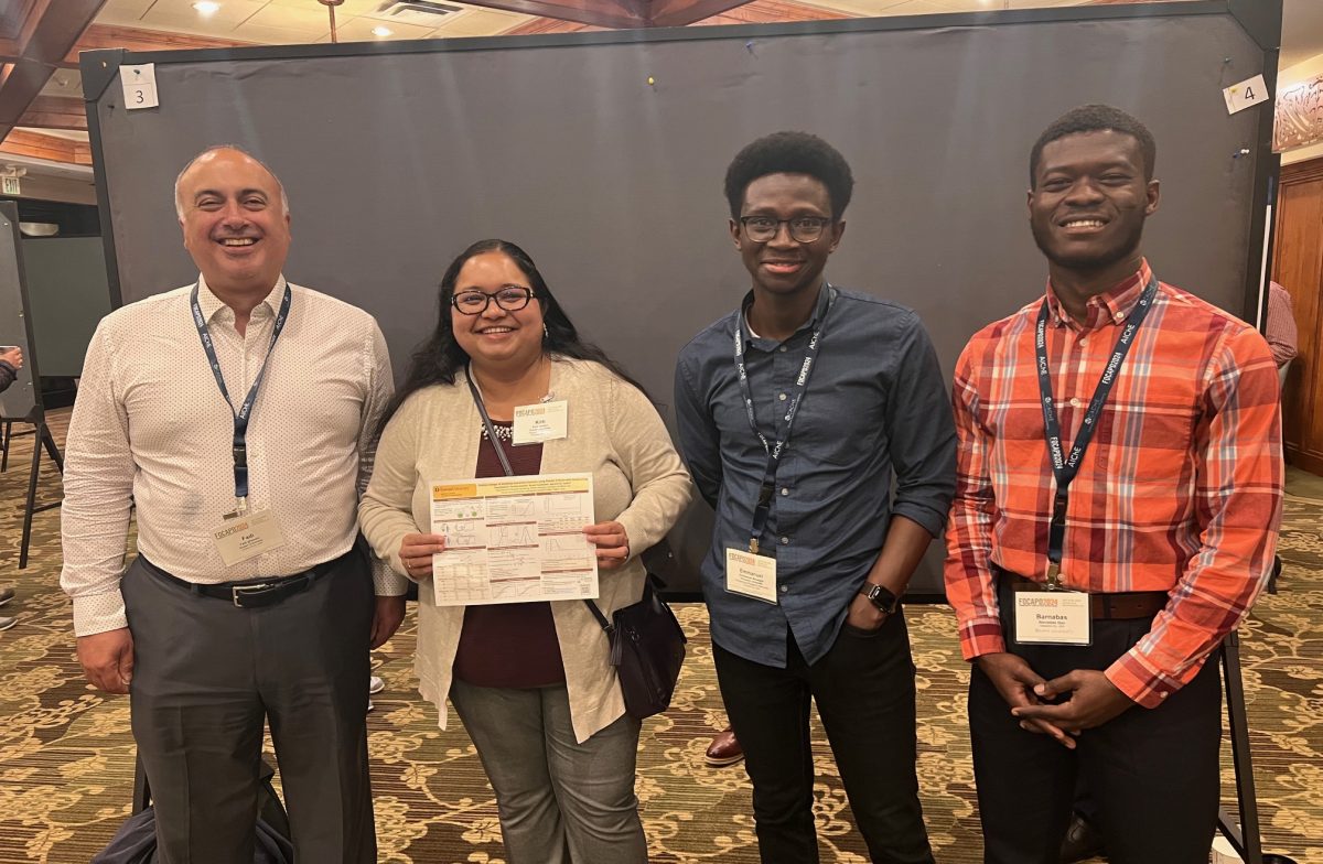 Yenkie Research Group